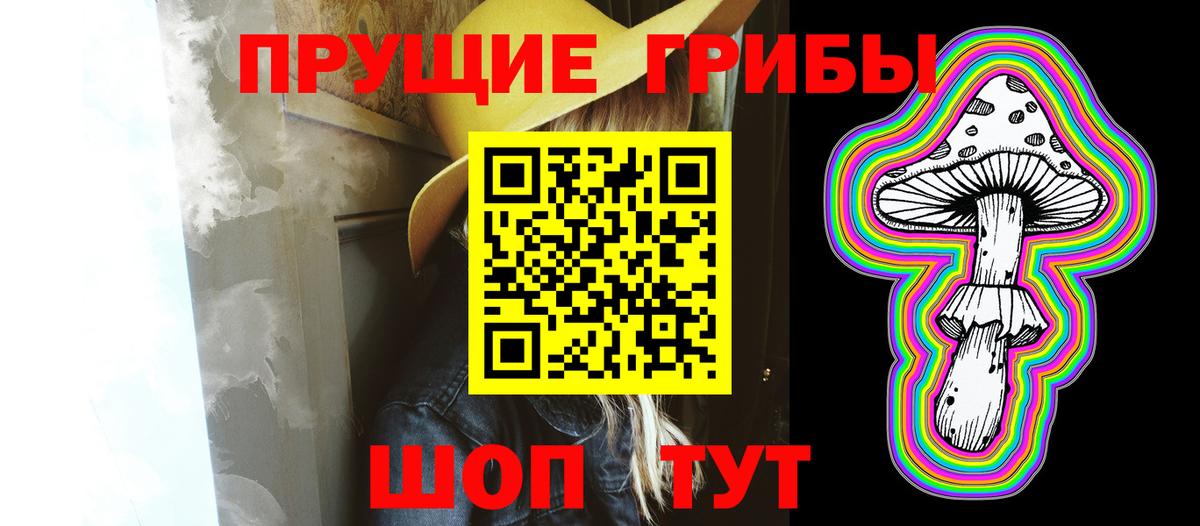 Советск  Галлюциногенные грибы прущие грибы  где найти наркотики  Вход с VPN  Галлюциногенные грибы прущие грибы 